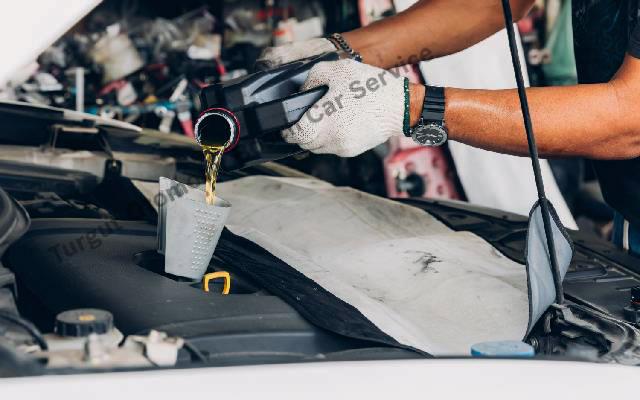 Oil & Filter Change